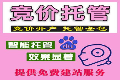 网络推广与竞价优化案例分享